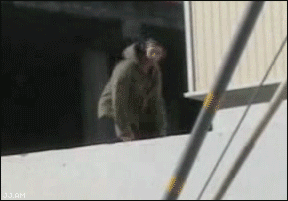 Спорт