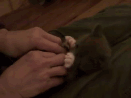 clip_image003