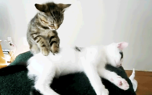 clip_image008