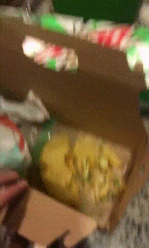 Эти гифки с животными сделают ваш день!