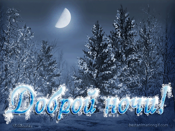Доброй ночи! (зимний лес, вьюга) - анимационные картинки и gif открытки