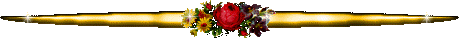 4565946_58893696_26441494_Linien2074 (459x38, 15Kb)