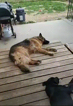 Просто так совпало