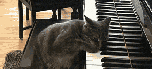 www.radionetplus.ru 19 (500x228, 4755Kb)
