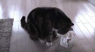 Hosted by imgur.com Кототерапия. Продолжение