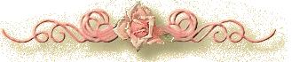 1239502512_6 (329x70, 14Kb)