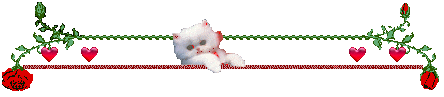 81 (204x57, 5Kb)