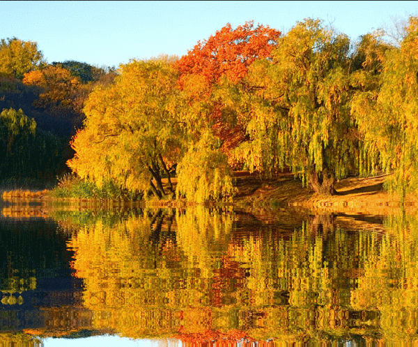http://img0.liveinternet.ru/images/attach/c/2/64/674/64674528_0_558a5_2c79b29d_XL_1.gif