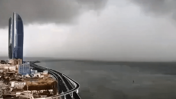 Особенности породы: