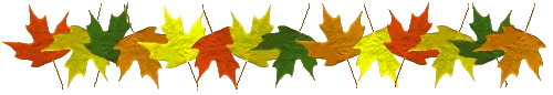 4605272_89195b5fea06_1_ (500x86, 15Kb)