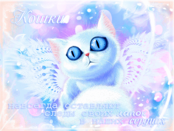 3821971_koshki (600x450, 2189Kb)