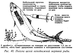 поднять голову приманки посредством введения в нее шприцем воздуха