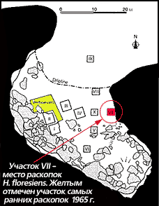 План пещеры с участком № VII, где был найден Homo floresiensis