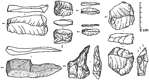 Каменные инструменты Homo floresiensis. Фото с сайта The Andaman Association